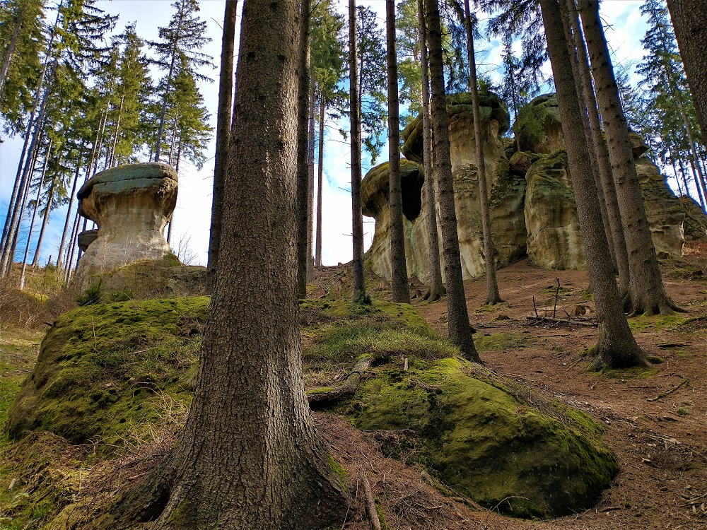 Rocas de formas curiosas en el parque natural Głazy Krasnoludków rodeadas de bosque