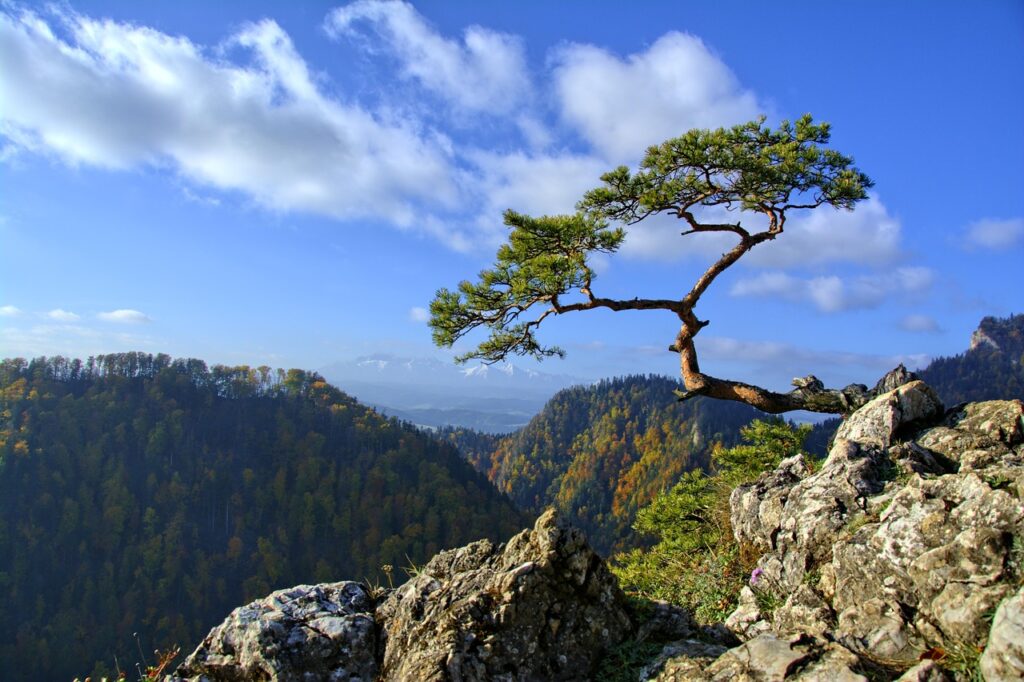 vistas desde un mirador en pieniny