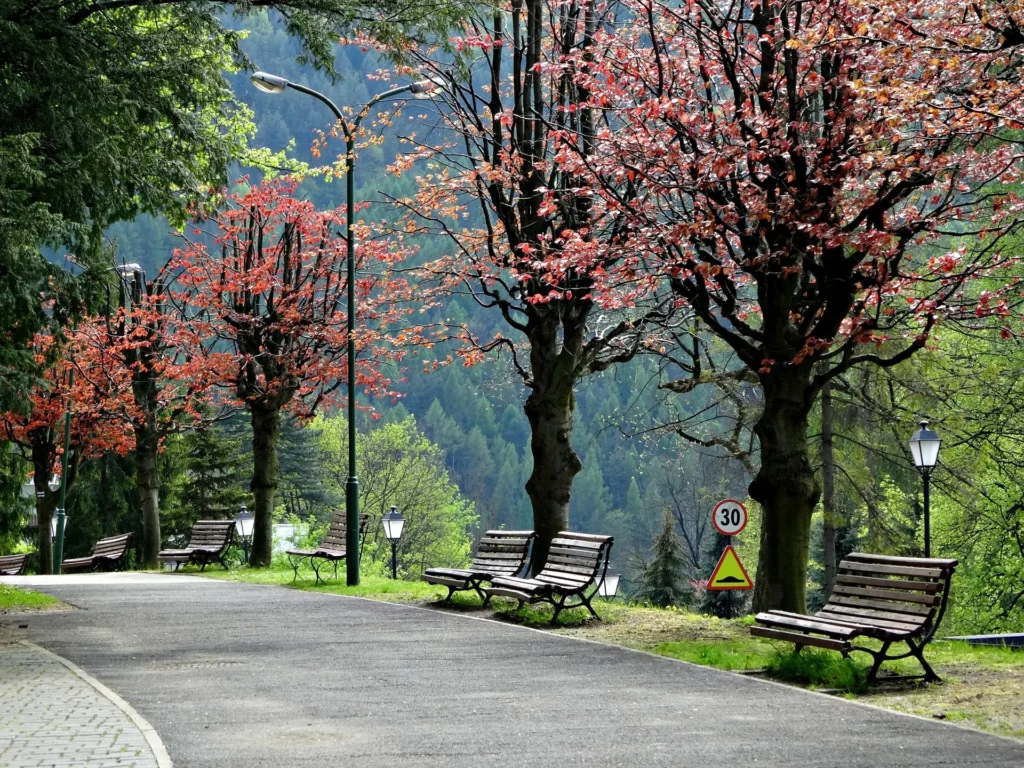 Paseo arbolado con bancos y hojas otoñales en un parque de montaña de Polonia